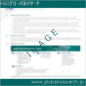 グローバルリサーチ調査レポートのイメージ